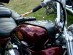 (S) SUZUKI INTRUDER VS 600 800 1400 LEATHER TANK Panel Pad Strap Chap Bib Bra